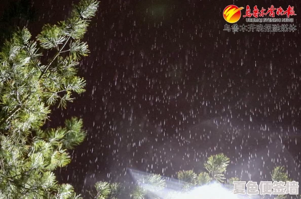 日本一曲二曲三曲高清图片春雨，感受春天的气息与细腻的雨滴交织成美丽画卷的瞬间