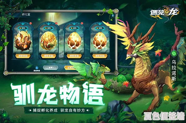 掌握命运圣契：雏翠龙技能精髓与实战应用策略指南