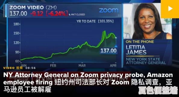 美国Zoom：在全球疫情期间如何改变远程办公的格局与人们的沟通方式，推动数字化转型进程加速发展