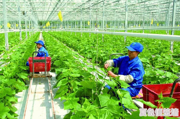 黑土流眼泪翻白眼流口水：探讨农业生态环境变化对土壤质量及农作物生长的影响与对应措施